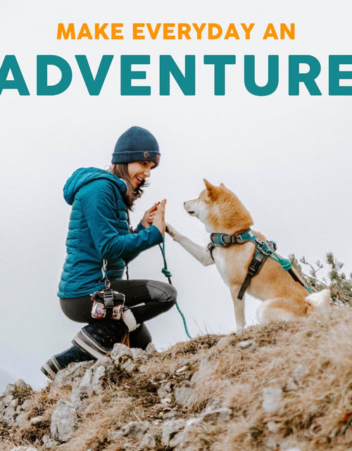 Load image into Gallery viewer, Embark Urban Dog Collar – Dog Collar Stylish &amp; Durable Nylon Dog Collar for Large Dogs, Small Dogs &amp; Medium Dogs.Comfortable Pet Collar Strong Buckles for Any Size Breed |Puppy Collars|
