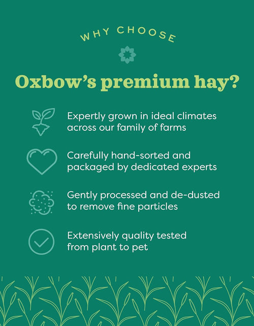 Load image into Gallery viewer, Animal Health Western Timothy Hay - All Natural Hay for Rabbits, Guinea Pigs, Chinchillas, Hamsters &amp; Gerbils -Veterinarian Recommended- Grown in the USA-90 Oz.
