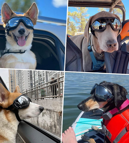 Dog Goggles - Large Dog Eye Protection Goggles Windproof Sunglasses for Medium Large Dog