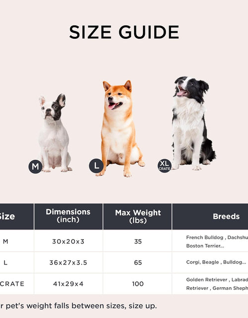 Load image into Gallery viewer, Orthopedic Dog Bed for Large Dogs - Memory Foam, 2-Layer Thick Pet Bed with Removable Washable Cover and Waterproof Lining (36X27X3.5 Inches), Dog Mattress, Grey
