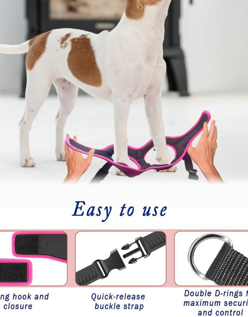 Load image into Gallery viewer, Comfort Fit Dog Harness - Comfortable Puppy Harness &amp; Dog Vest: Adjustable, Soft Padded for Small, Medium Dogs - Easy to Put-On Dog Harness Medium Sized Dog

