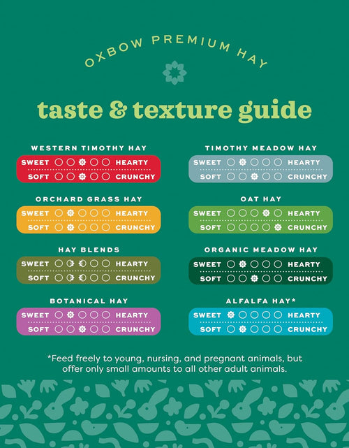 Load image into Gallery viewer, Animal Health Western Timothy Hay - All Natural Hay for Rabbits, Guinea Pigs, Chinchillas, Hamsters &amp; Gerbils -Veterinarian Recommended- Grown in the USA-90 Oz.
