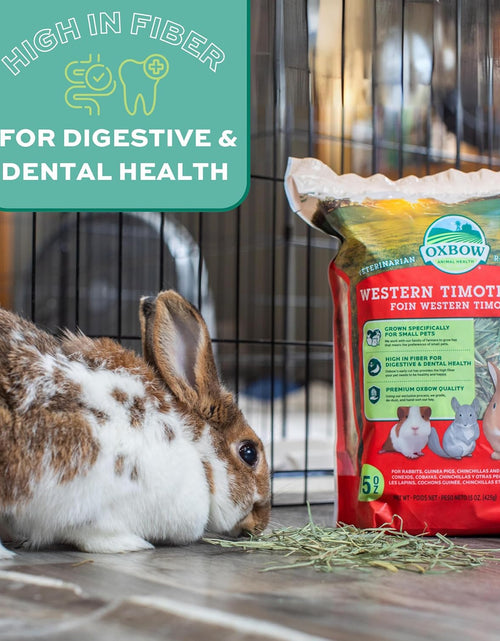 Load image into Gallery viewer, Animal Health Western Timothy Hay - All Natural Hay for Rabbits, Guinea Pigs, Chinchillas, Hamsters &amp; Gerbils -Veterinarian Recommended- Grown in the USA-90 Oz.

