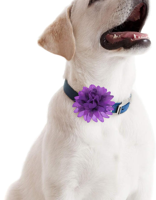 Load image into Gallery viewer, 20 Pieces Dog Collar Flowers Pet Flower Bow Ties Multi-Color Dog Charms Flower for Puppy Dog Collar Grooming Accessories (10 Cm/ 4 Inch)
