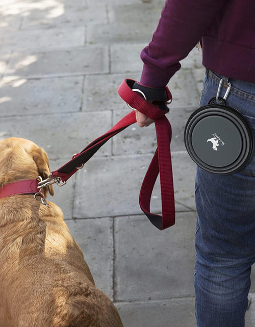 Load image into Gallery viewer, Expandable Dog Bowls for Travel, 2-Pack Dog Portable Water Bowl for Dogs Cats Pet Foldable Feeding Watering Dish for Traveling Camping Walking with 2 Carabiners, BPA Free
