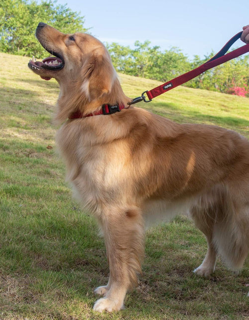 Load image into Gallery viewer, Traffic Nylon 18 Inches Short Leash with Soft Neoprene Padded Handle for Giant Large Medium Boy and Girl Dogs - Professional Training, Daily Use Walking. (Red)
