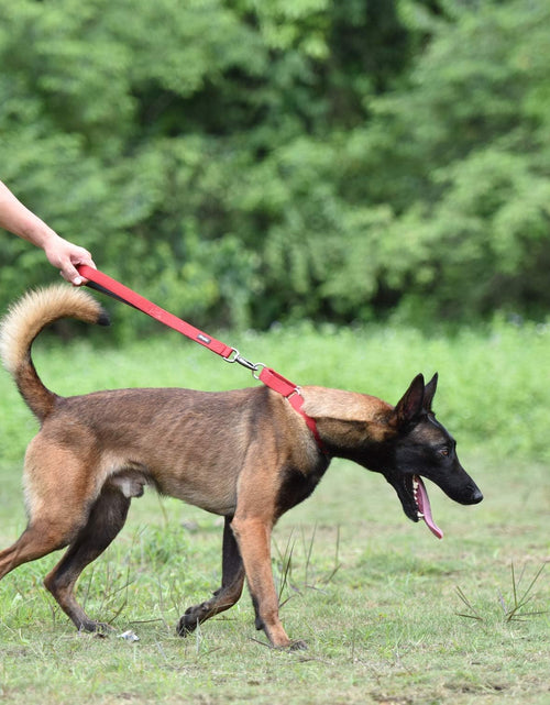 Load image into Gallery viewer, Traffic Nylon 18 Inches Short Leash with Soft Neoprene Padded Handle for Giant Large Medium Boy and Girl Dogs - Professional Training, Daily Use Walking. (Red)
