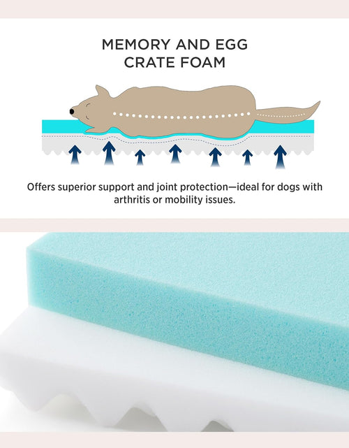 Load image into Gallery viewer, Orthopedic Dog Bed for Large Dogs - Memory Foam, 2-Layer Thick Pet Bed with Removable Washable Cover and Waterproof Lining (36X27X3.5 Inches), Dog Mattress, Grey
