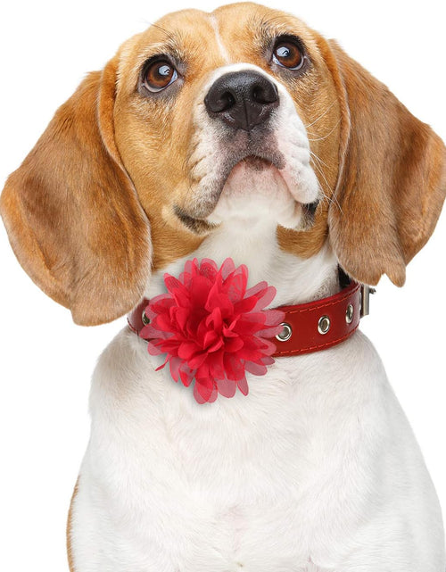 Load image into Gallery viewer, 20 Pieces Dog Collar Flowers Pet Flower Bow Ties Multi-Color Dog Charms Flower for Puppy Dog Collar Grooming Accessories (10 Cm/ 4 Inch)
