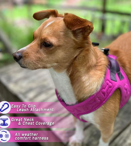 Comfort Fit Dog Harness - Comfortable Puppy Harness & Dog Vest: Adjustable, Soft Padded for Small, Medium Dogs - Easy to Put-On Dog Harness Medium Sized Dog