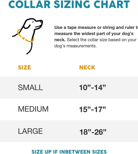 Embark Urban Dog Collar – Dog Collar Stylish & Durable Nylon Dog Collar for Large Dogs, Small Dogs & Medium Dogs.Comfortable Pet Collar Strong Buckles for Any Size Breed |Puppy Collars|