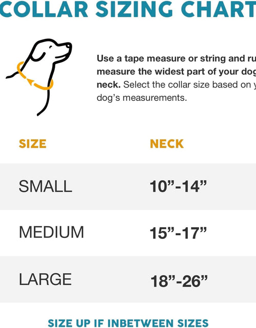 Load image into Gallery viewer, Embark Urban Dog Collar – Dog Collar Stylish &amp; Durable Nylon Dog Collar for Large Dogs, Small Dogs &amp; Medium Dogs.Comfortable Pet Collar Strong Buckles for Any Size Breed |Puppy Collars|
