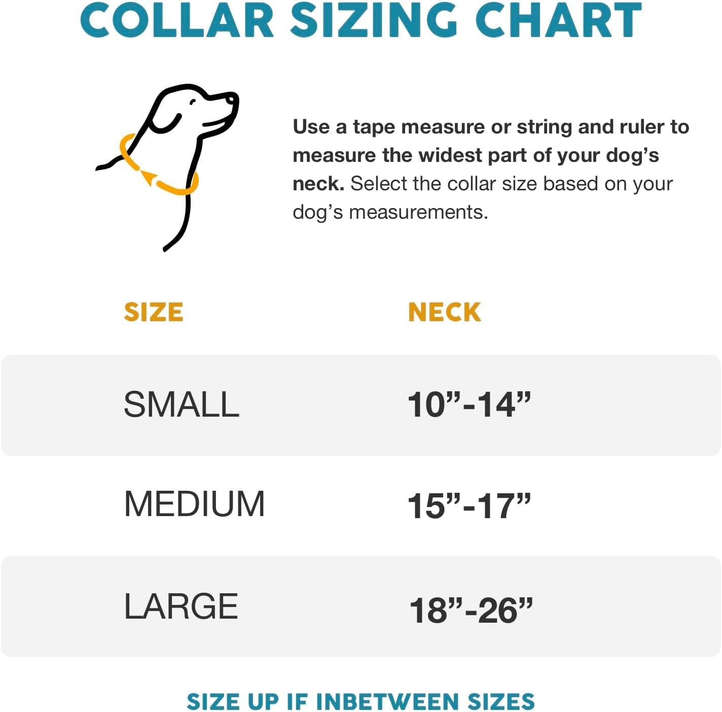 Embark Urban Dog Collar – Dog Collar Stylish & Durable Nylon Dog Collar for Large Dogs, Small Dogs & Medium Dogs.Comfortable Pet Collar Strong Buckles for Any Size Breed |Puppy Collars|