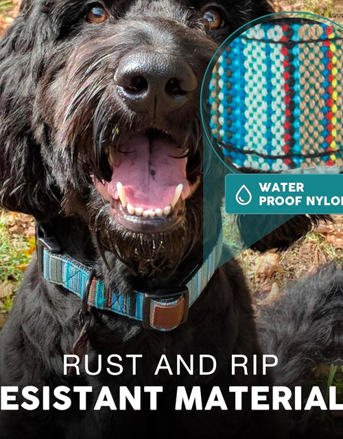 Load image into Gallery viewer, Embark Urban Dog Collar – Dog Collar Stylish &amp; Durable Nylon Dog Collar for Large Dogs, Small Dogs &amp; Medium Dogs.Comfortable Pet Collar Strong Buckles for Any Size Breed |Puppy Collars|
