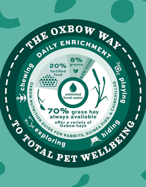 Load image into Gallery viewer, Animal Health Western Timothy Hay - All Natural Hay for Rabbits, Guinea Pigs, Chinchillas, Hamsters &amp; Gerbils -Veterinarian Recommended- Grown in the USA-90 Oz.
