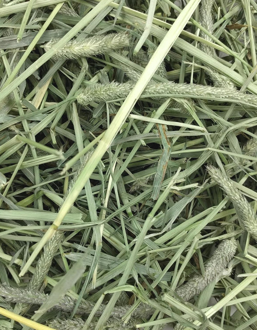 Load image into Gallery viewer, Animal Health Western Timothy Hay - All Natural Hay for Rabbits, Guinea Pigs, Chinchillas, Hamsters &amp; Gerbils -Veterinarian Recommended- Grown in the USA-90 Oz.
