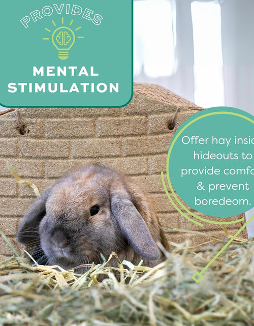 Load image into Gallery viewer, Animal Health Western Timothy Hay - All Natural Hay for Rabbits, Guinea Pigs, Chinchillas, Hamsters &amp; Gerbils -Veterinarian Recommended- Grown in the USA-90 Oz.
